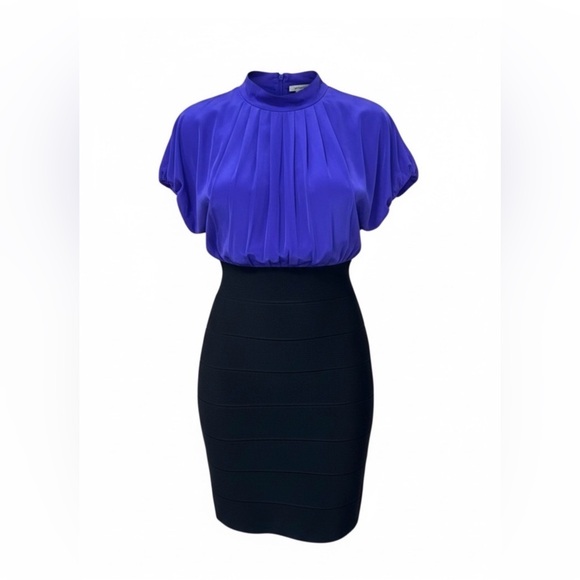 BCBGMaxAzria Dresses & Skirts - BCBG MaxAzria Purple & Black Bodycon Dress – Size Small